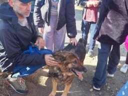 5745606661294017882526157552020321401467034n